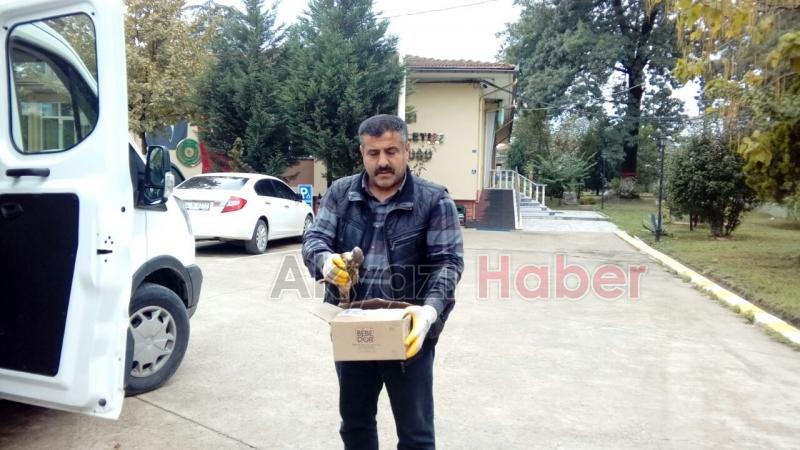 Yavru Atmaca Yetkililere Teslim Edildi