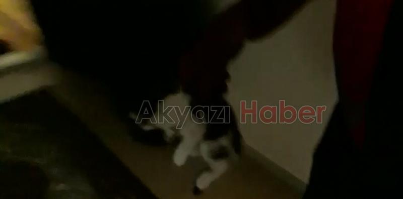 Yavru Kedi İtfaiye Ekiplerince Kurtarıldı