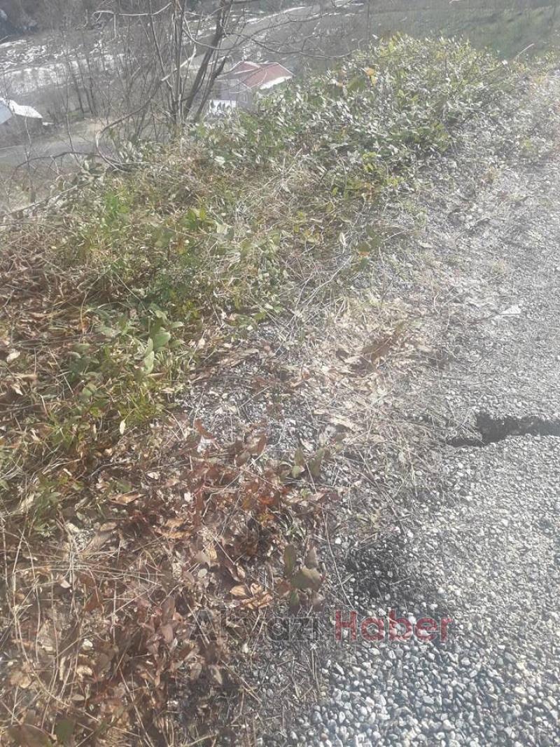 Yayla Yolu Bakım İstiyor