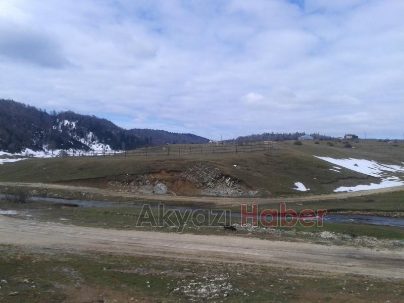 Yaylada otlağın çitle çevrilmesine Soruşturma başlatıldı