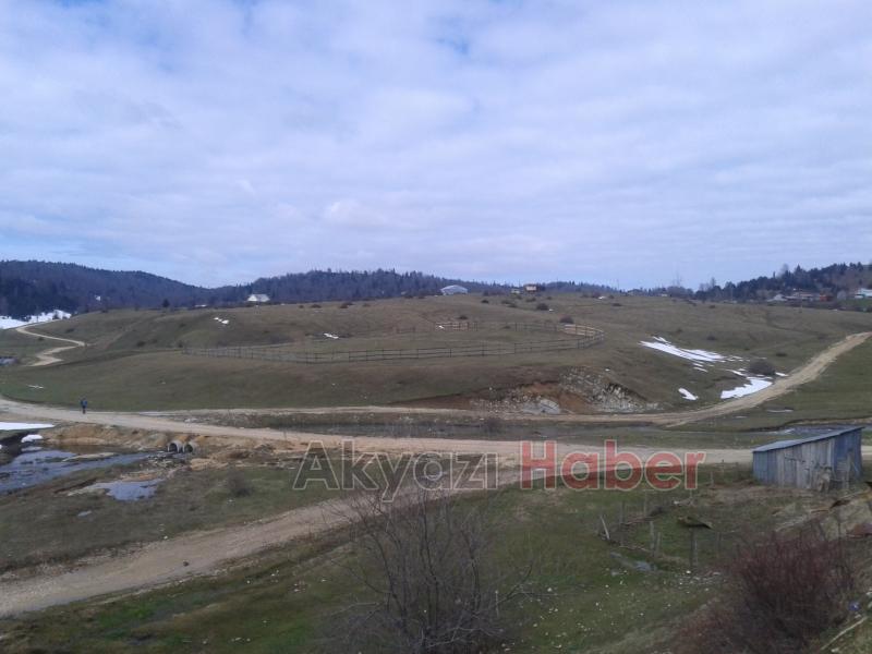 Yaylada otlağın çitle çevrilmesine Soruşturma başlatıldı