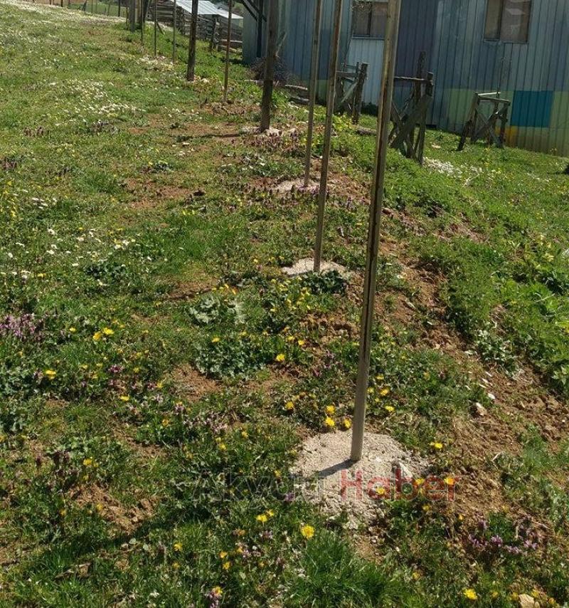 Yaylalarda Sınır Genişletme ve Betonarme binalara Karşı Önlem