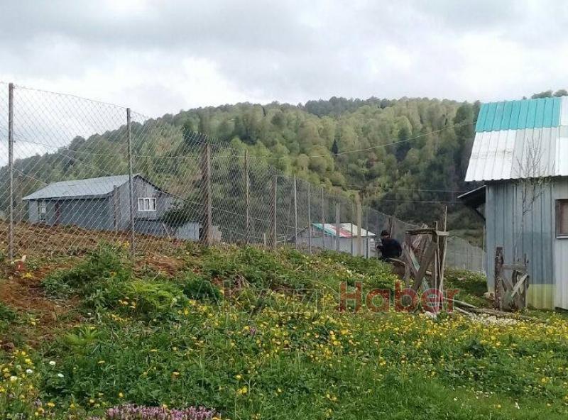 Yaylalarda Sınır Genişletme ve Betonarme binalara Karşı Önlem