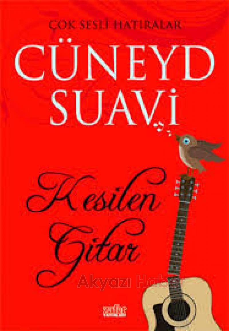 Yazar Cüneyd Suavi den Akyazı Çıkarması