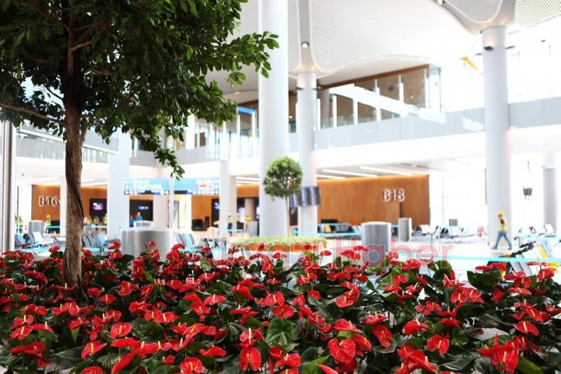 Yeni Havalimanının son hali havadan görüntülendi