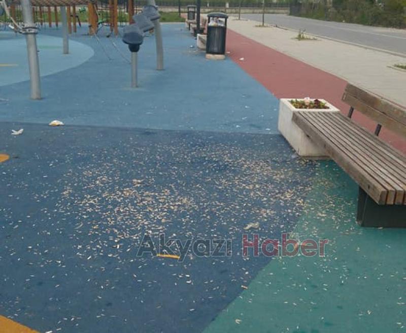 Yere Atılan Çekirdek Kabukları Tepkiye Neden Oldu