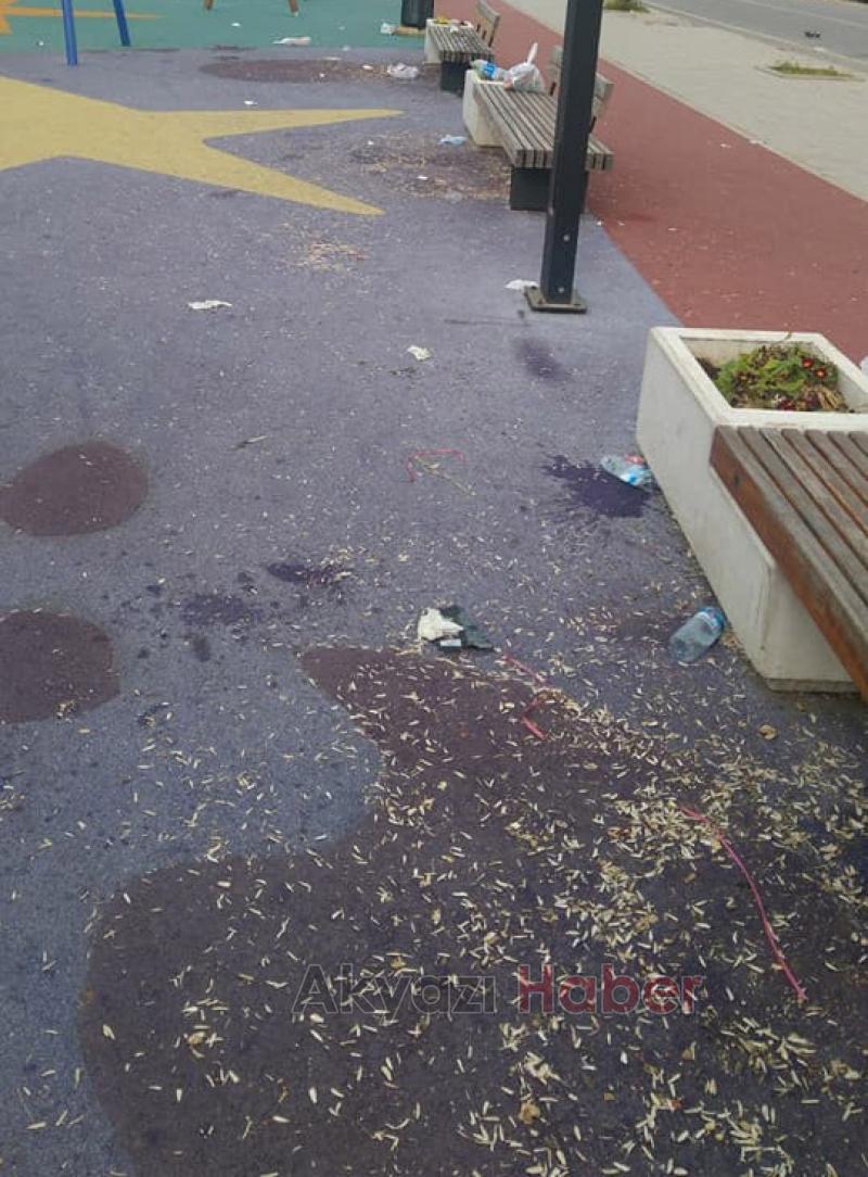 Yere Atılan Çekirdek Kabukları Tepkiye Neden Oldu