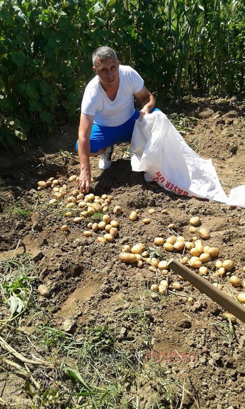 Yılan Üzerine Sıçrayarak Isırdı