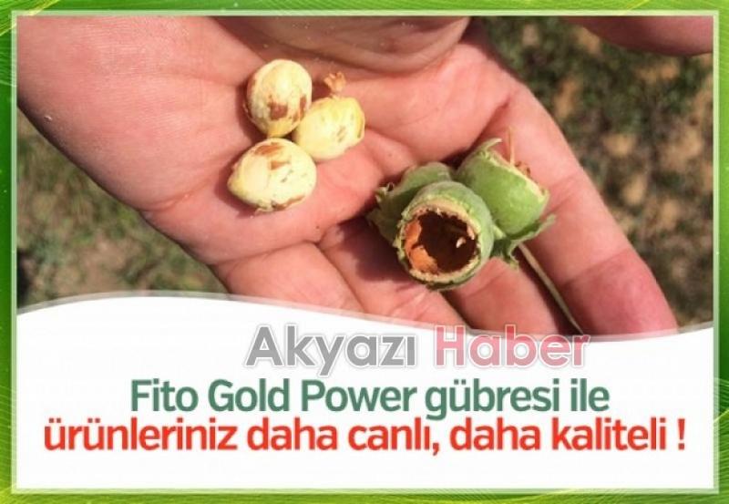 Yılmaz Tarım Fındık Kabuğu Satımına Başladı