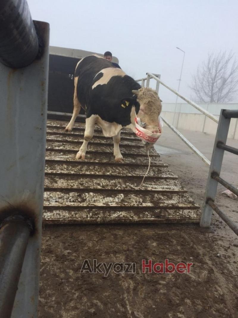 Yiyen bağımlısı oluyor BİR ALAN BİR DAHA ALIYOR