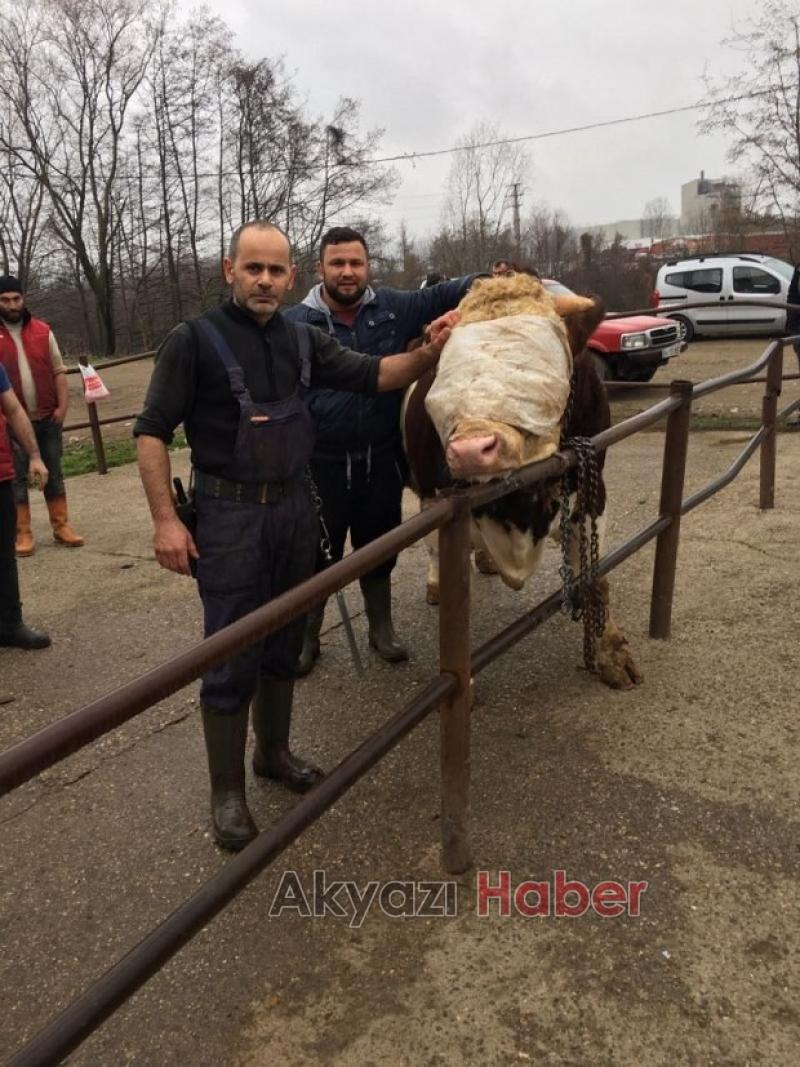 Yiyen bağımlısı oluyor BİR ALAN BİR DAHA ALIYOR