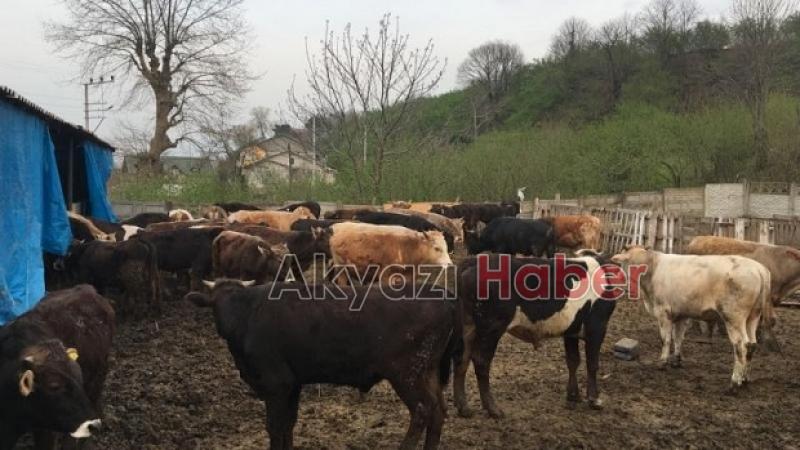 Yiyen bağımlısı oluyor BİR ALAN BİR DAHA ALIYOR