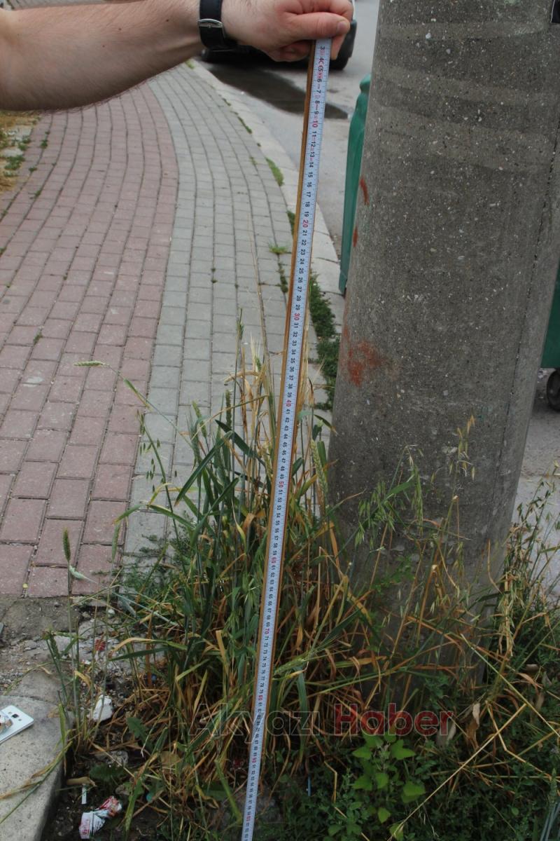  Yol kenarındaki çukur tehlike saçıyor