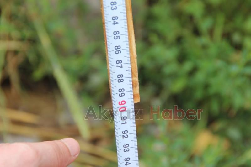  Yol kenarındaki çukur tehlike saçıyor