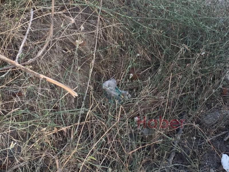 Yol Kenarından Uzun Namlulu Silah Mermisi Bulundu