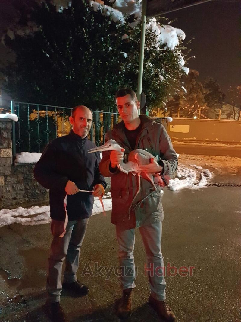 Yolda Bulduğu Yaralı Kuşu Yetkililere Teslim Etti