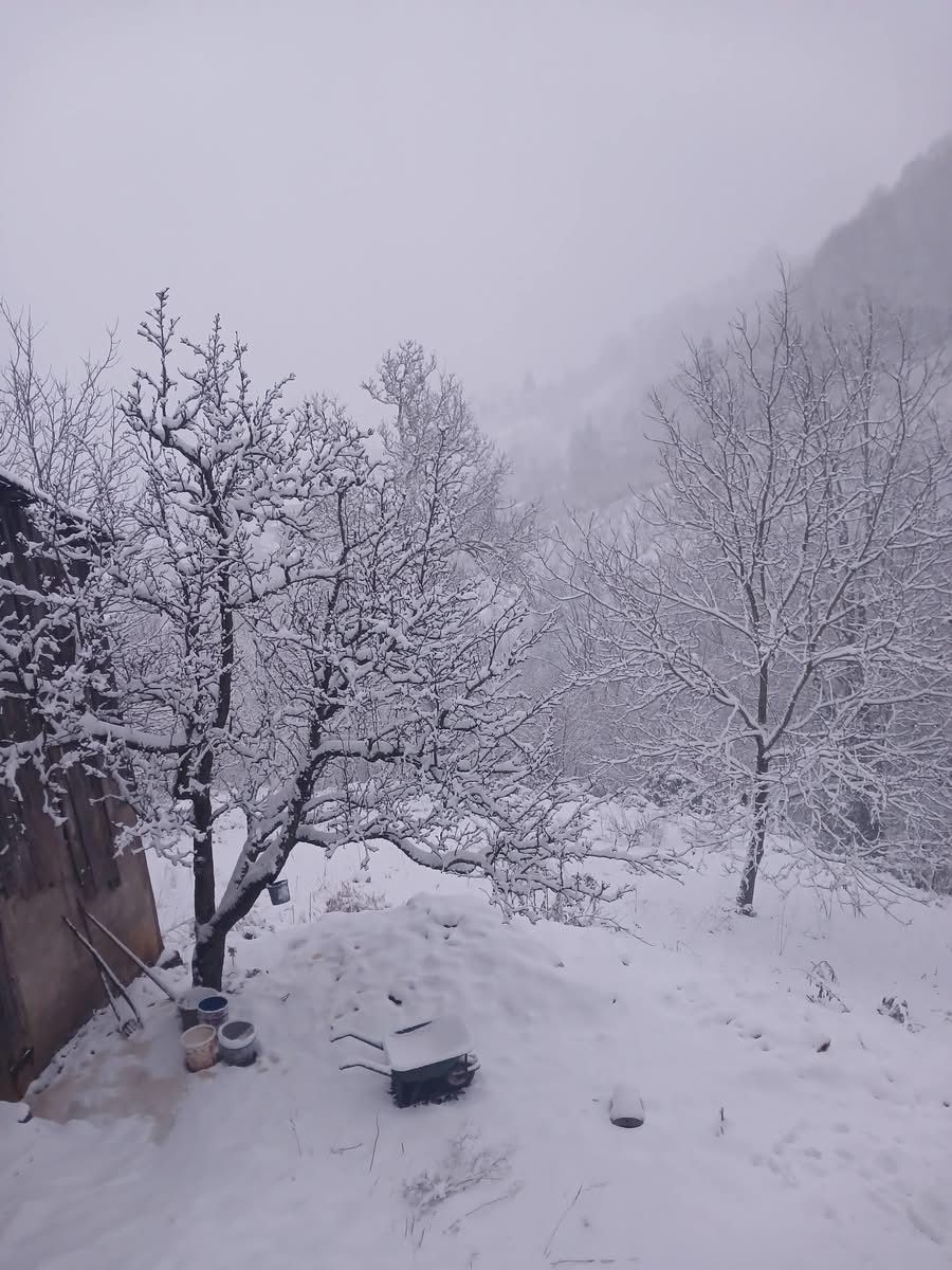 Yüksek kesimler karla kaplandı