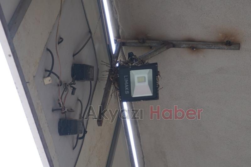 Yuvasından Düşen Kumruya İtfaiye El Uzattı