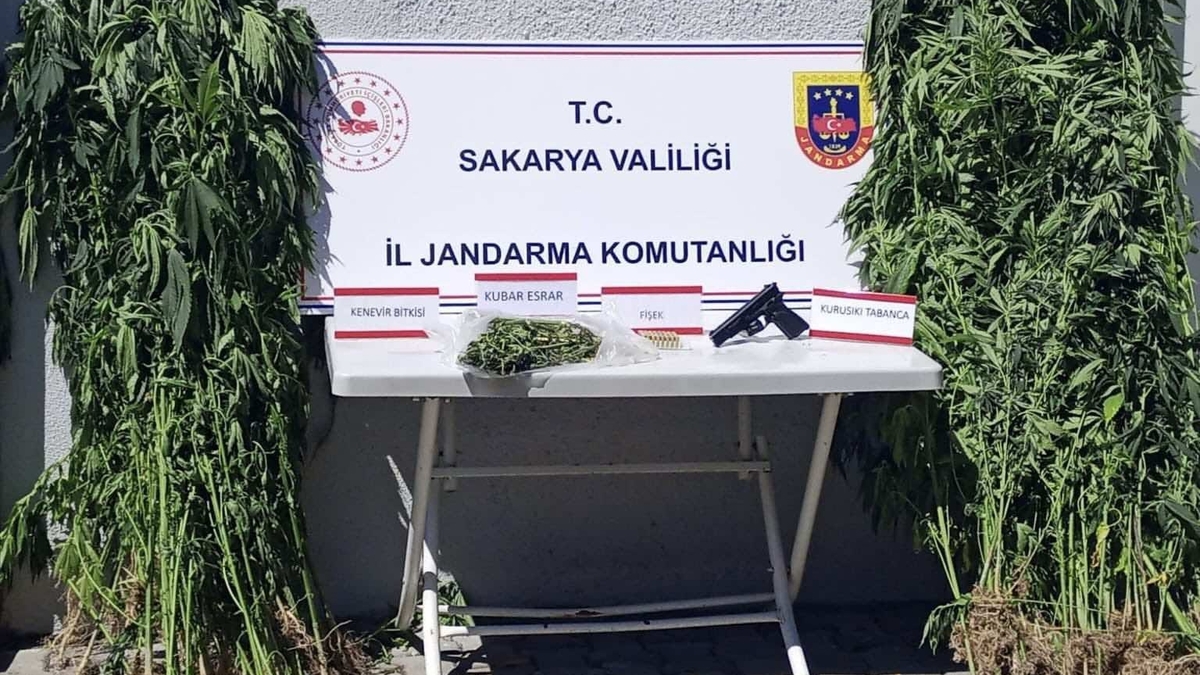 Zehir tacirlerine üç ilçede operasyon