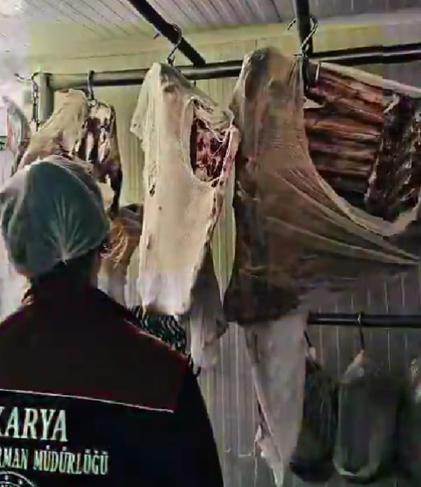 Zehirlenme vakaları sonrası Sakarya alarmda: Gıda denetimleri sıkılaştırıldı