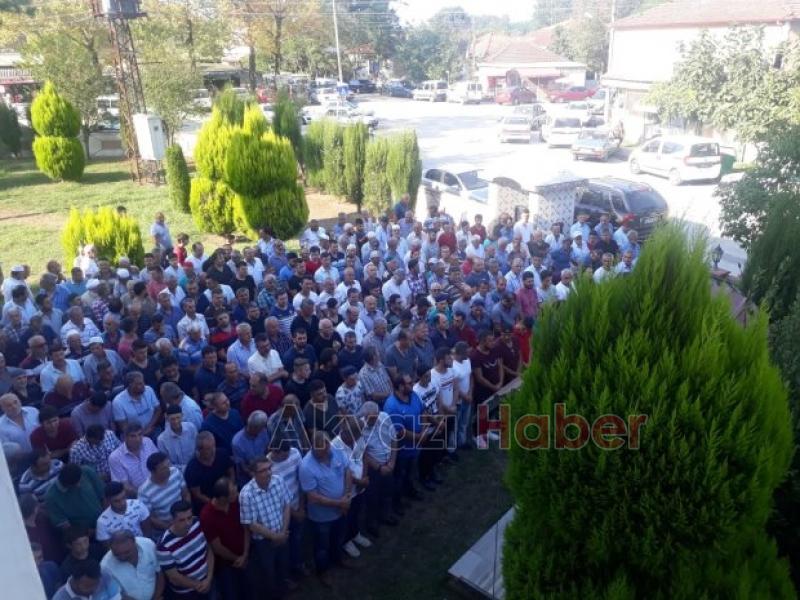 Üzerine ağaç devrilmişti, toprağa verildi