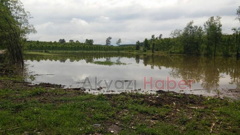 Ziraat Odası Başkanı’ndan Su Altında Kalan Tarım Alanlarında İnceleme