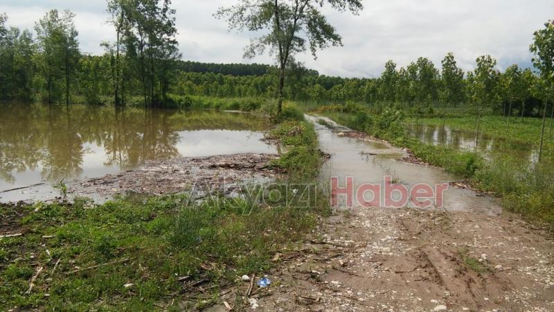 Ziraat Odası Başkanı’ndan Su Altında Kalan Tarım Alanlarında İnceleme