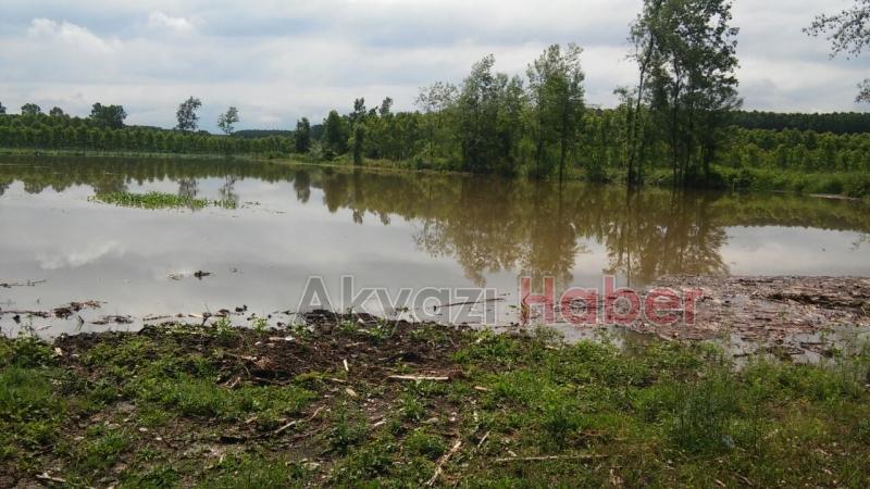 Ziraat Odası Başkanı’ndan Su Altında Kalan Tarım Alanlarında İnceleme