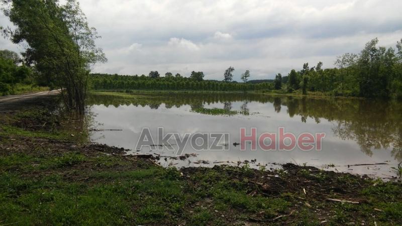 Ziraat Odası Başkanı’ndan Su Altında Kalan Tarım Alanlarında İnceleme