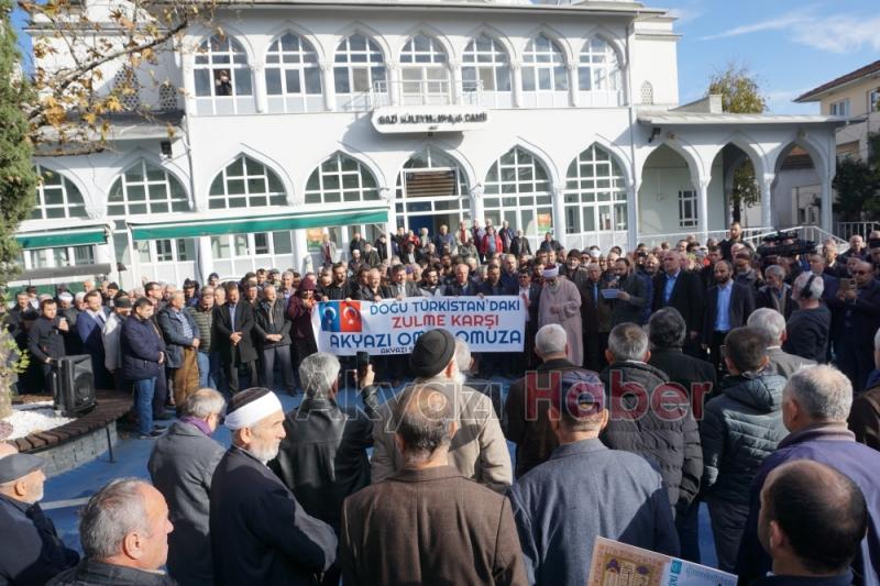 Zulme Karşı Omuz Omuza