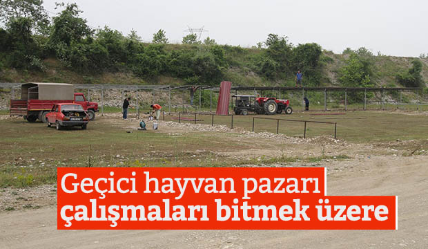 Geçici Hayvan Pazarı Çalışmaları Bitmek Üzere