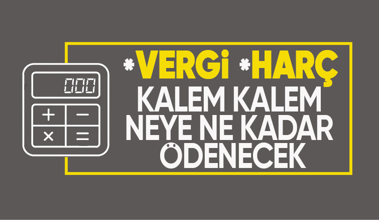 Gelir vergisi tarifesi ile 2024'te uygulanacak vergi ve harç tutarları belli oldu