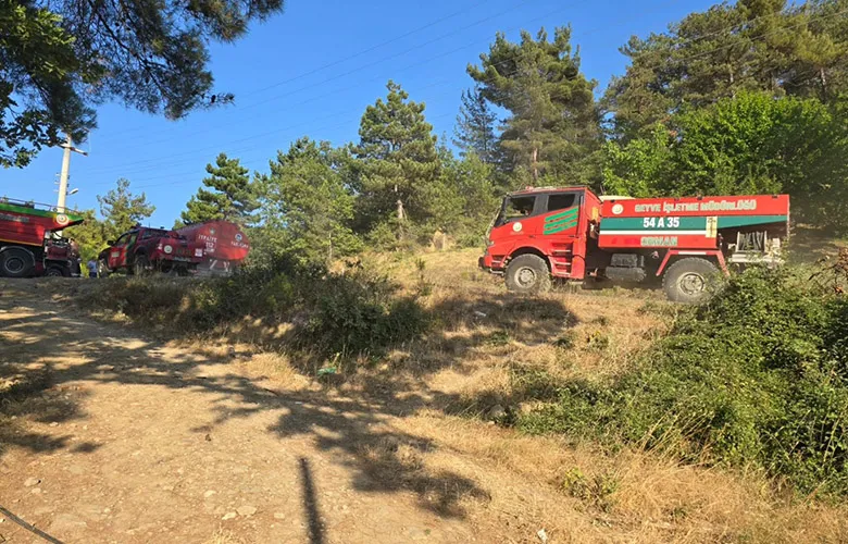 Geyve'de orman yangını