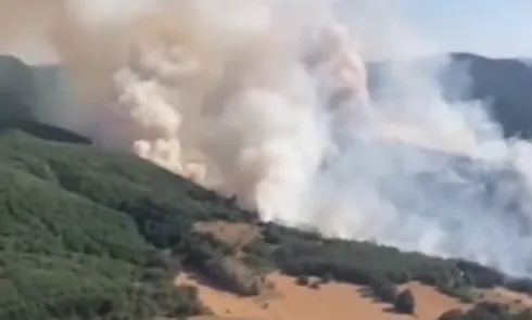 Geyve'deki orman yangını Bilecik'e sıçradı