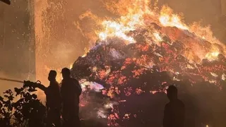 Geyve'deki orman yangını köye sıçradı