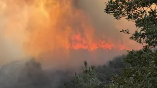 Geyve'deki yangında bir mahalle boşaltılıyor