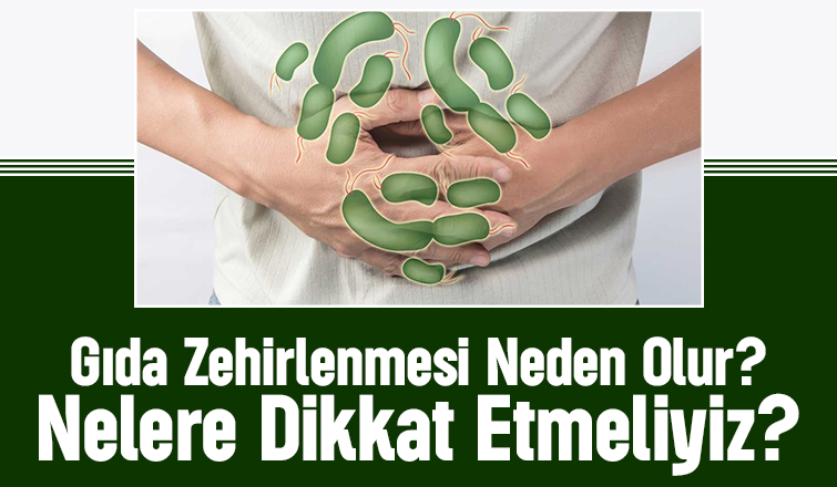 Gıda Zehirlenmesi Neden Olur?