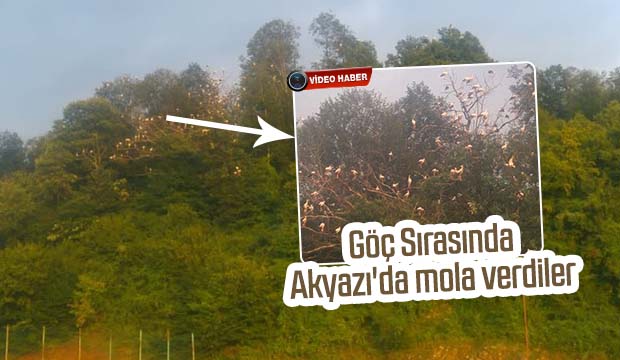 Göç Sırasında Akyazıda  mola verdiler