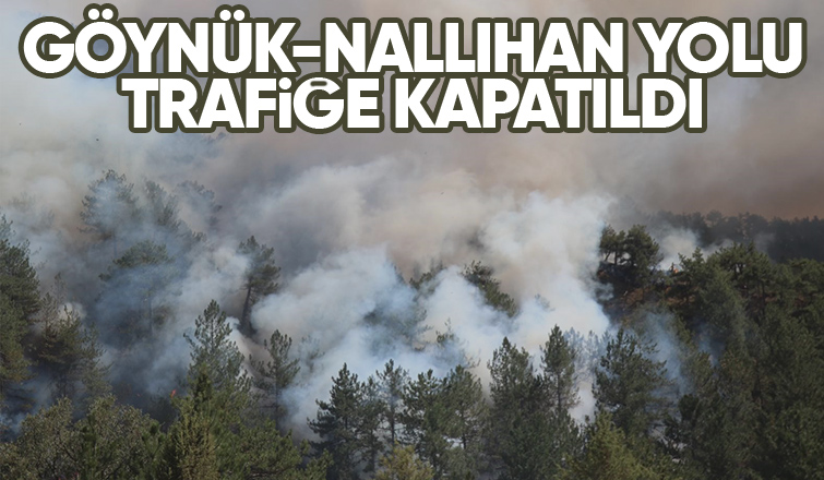 Göynük-Nallıhan yolu trafiğe yangın nedeniyle kapatıldı