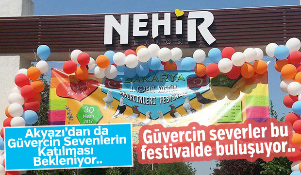 Güvercin Severler Bu Festivalde Buluşuyor