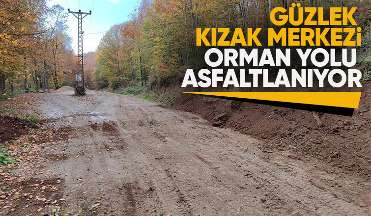 Güzlek Kızak Merkezi yolu asfalt olacak