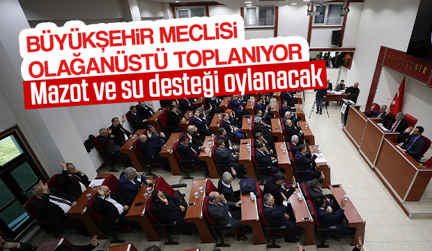 Hafif raylı sistem için yetki istenecek