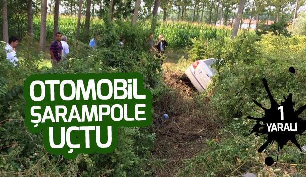 Hakimiyetini Kaybeden Sürücü Şarampole Uçtu