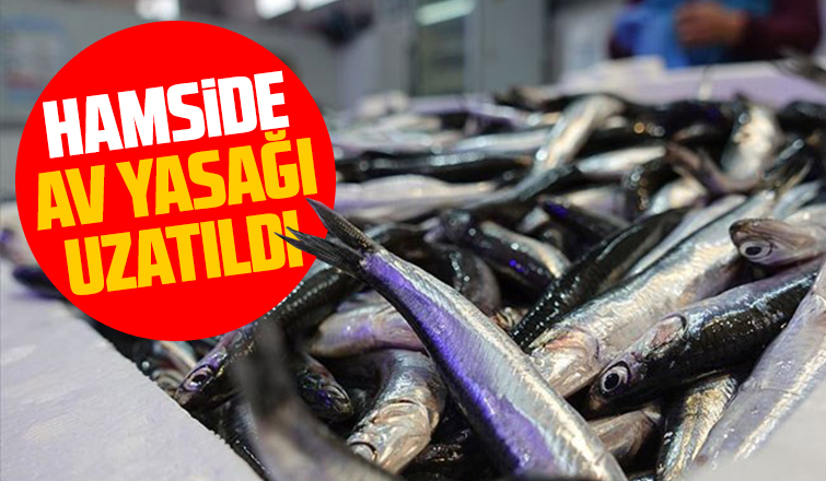 Hamside av yasağı uzatıldı