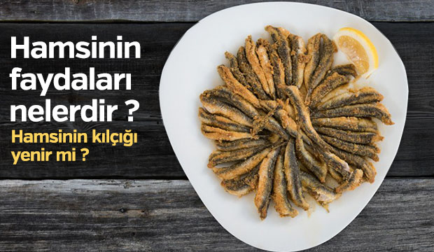 Hamsinin faydaları neler