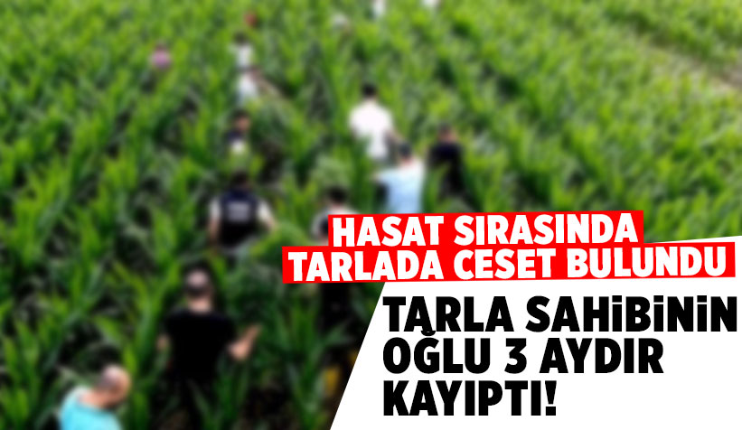 Hasat sırasında ceset bulundu