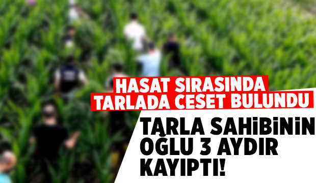 Hasat sırasında ceset bulundu