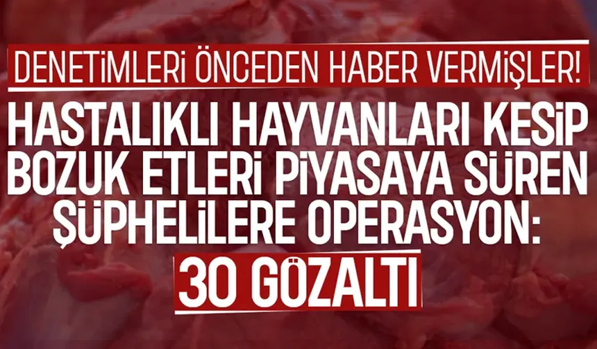 Hastalıklı hayvanları kesip bozuk etleri yedirmişler: 30 gözaltı