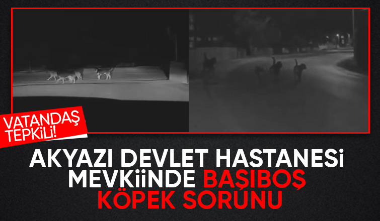 Hastane Çevresinde Dolaşan Başıboş Köpekler, Vatandaşı Tedirgin Ediyor