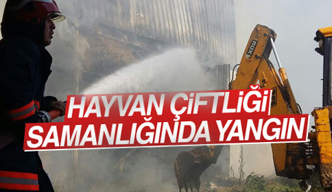 Hayvan Çiftliği Samanlığında yangın